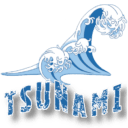 Tsunami-team-logo