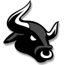 Black Bulls Team Logo