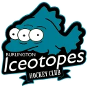 Iceotopes Team Logo