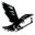 Ravens Team Logo