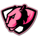 Panthers Team Logo