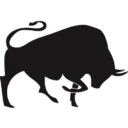 Black Bulls Team Logo